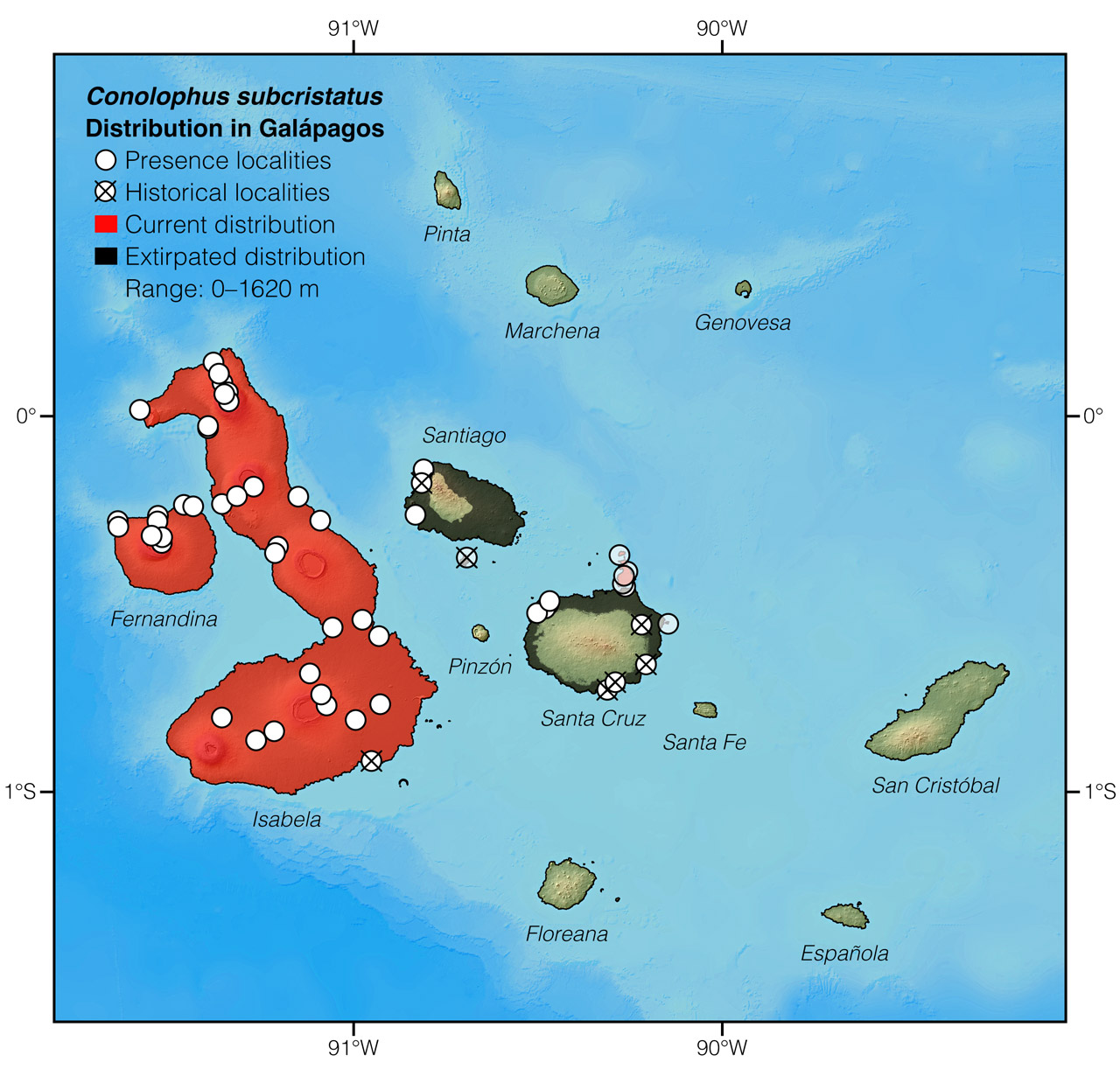 Distribution of Conolophus subcristatus in Galápagos