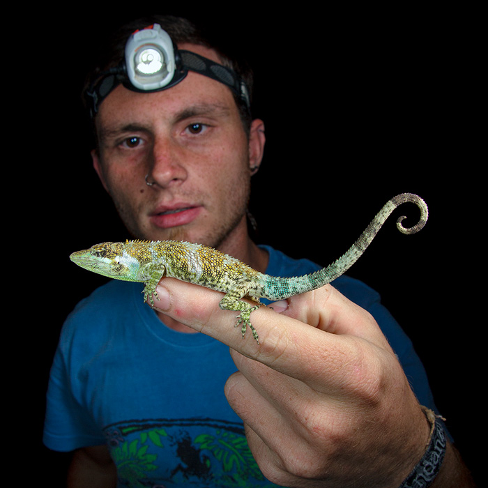 Image showing biologist Jose Vieira holding an anole lizard