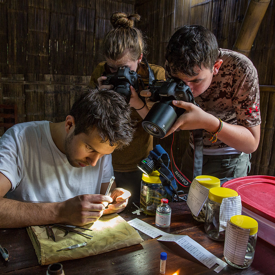 Alejandro Arteaga measuring specimens in Mindo, Ecuador