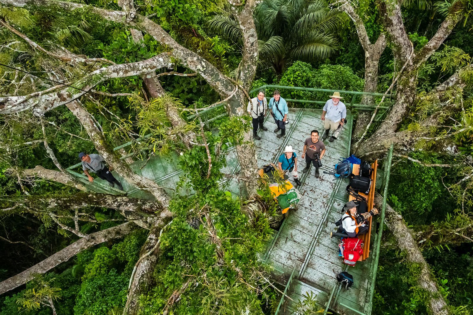 Our guests in the canopy tower at Napo wildlife center, Ecuadorian Amazon.