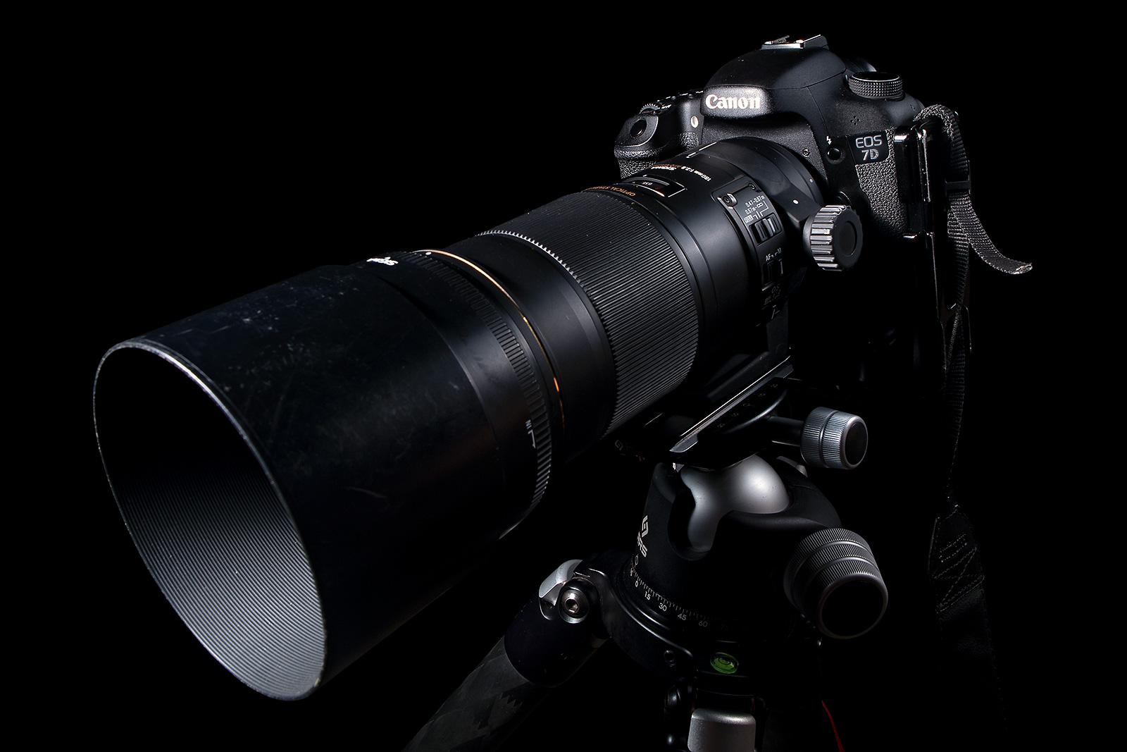 Image showing the Sigma 180mm Macro Lens