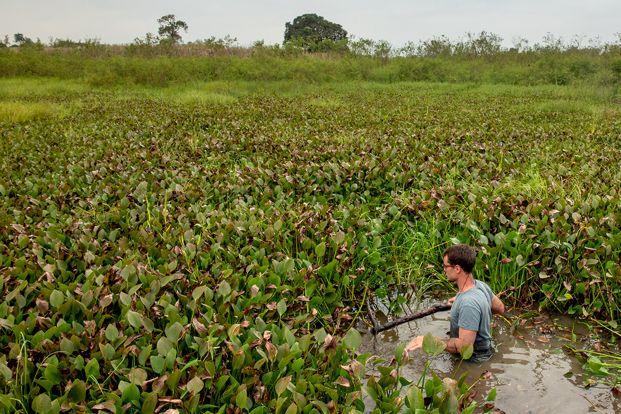 Image of a researcher exploring a pond