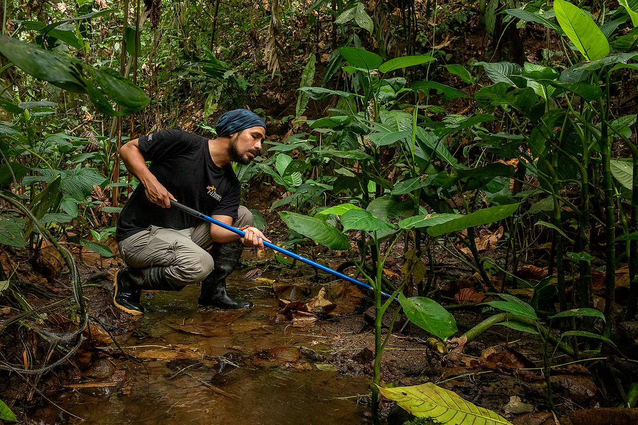 Image of a researcher exploring a rainforest creek