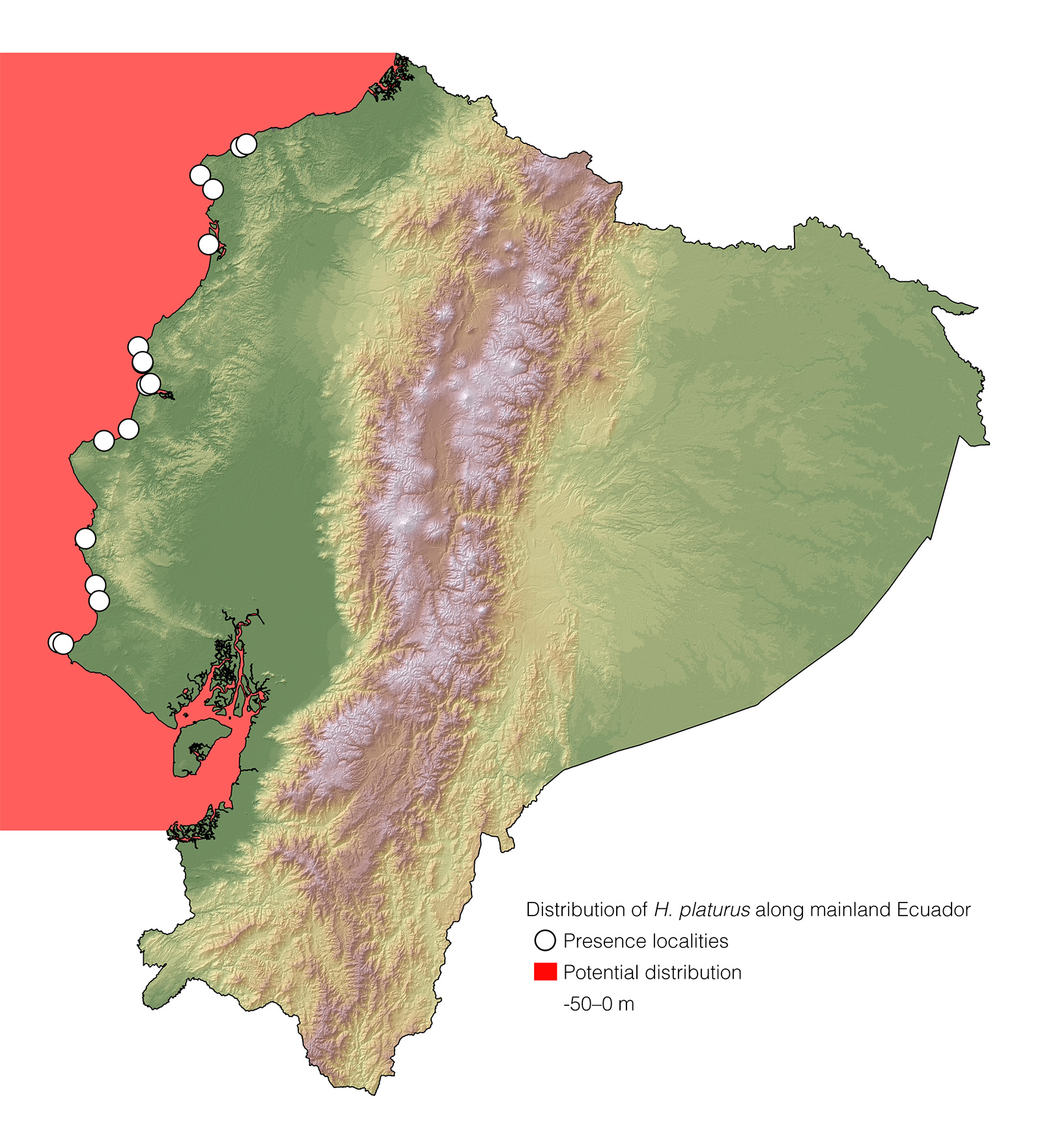 Distribution of Hydrophis platurus in mainland Ecuador